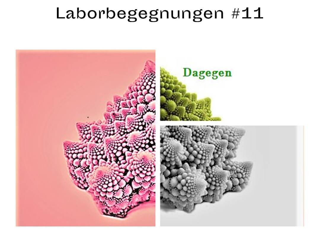 271849038_1634000923599191_2241125283576288880_n (1)