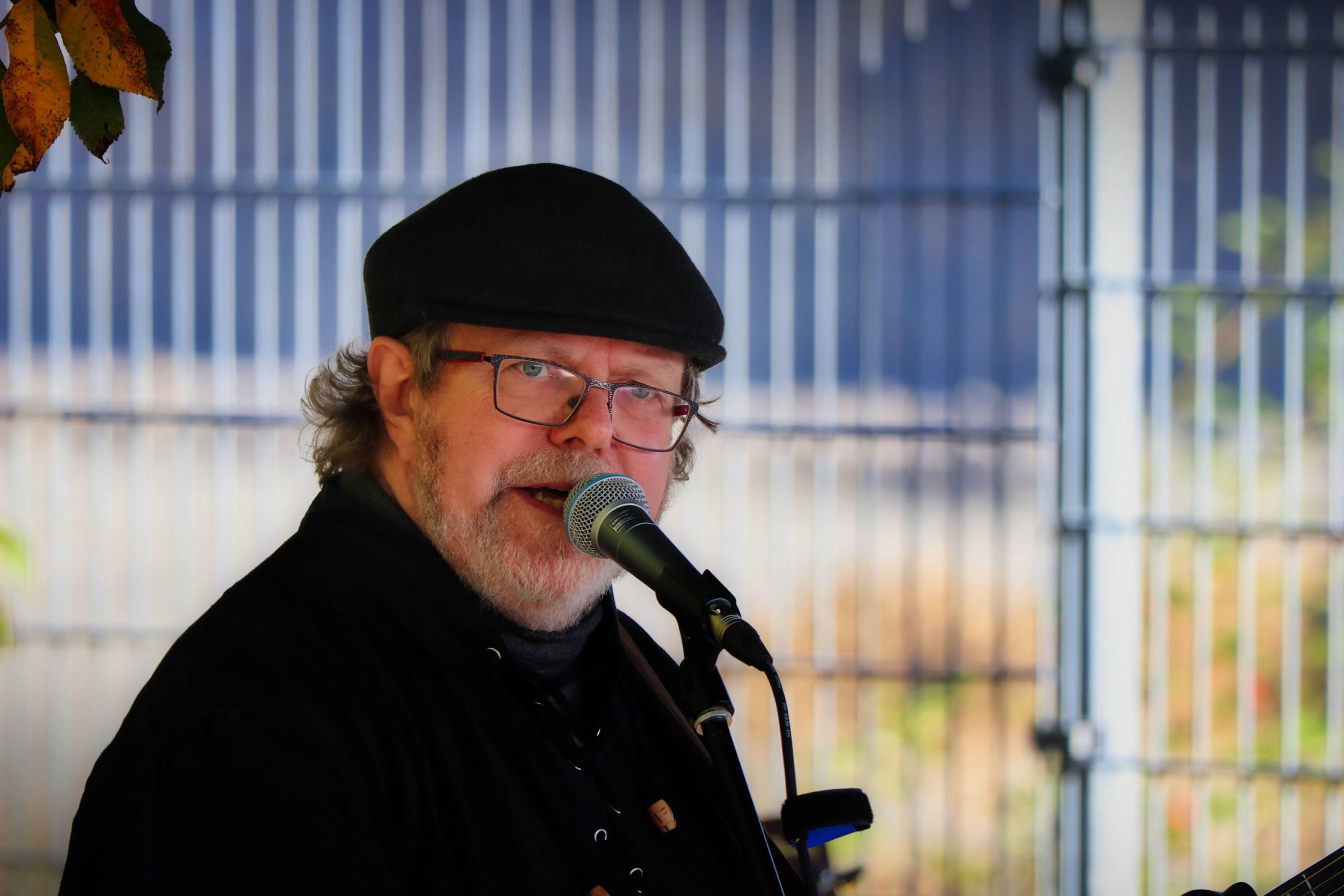 Folksänger-Mikro-Hella-Bock