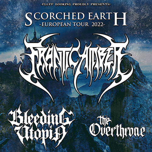 Website-Teaser_Frantic-Amber