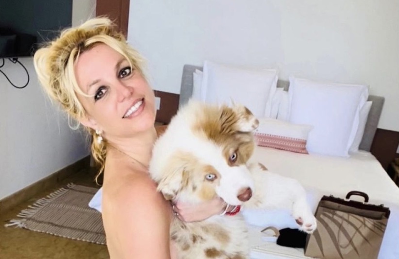 Britney Spears splitterfasernackt mit Hund auf dem Arm