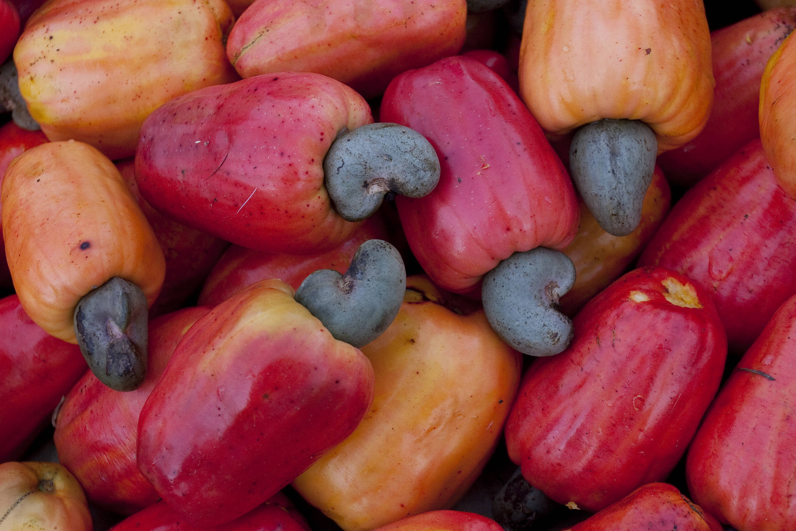 GettyImages-469005498