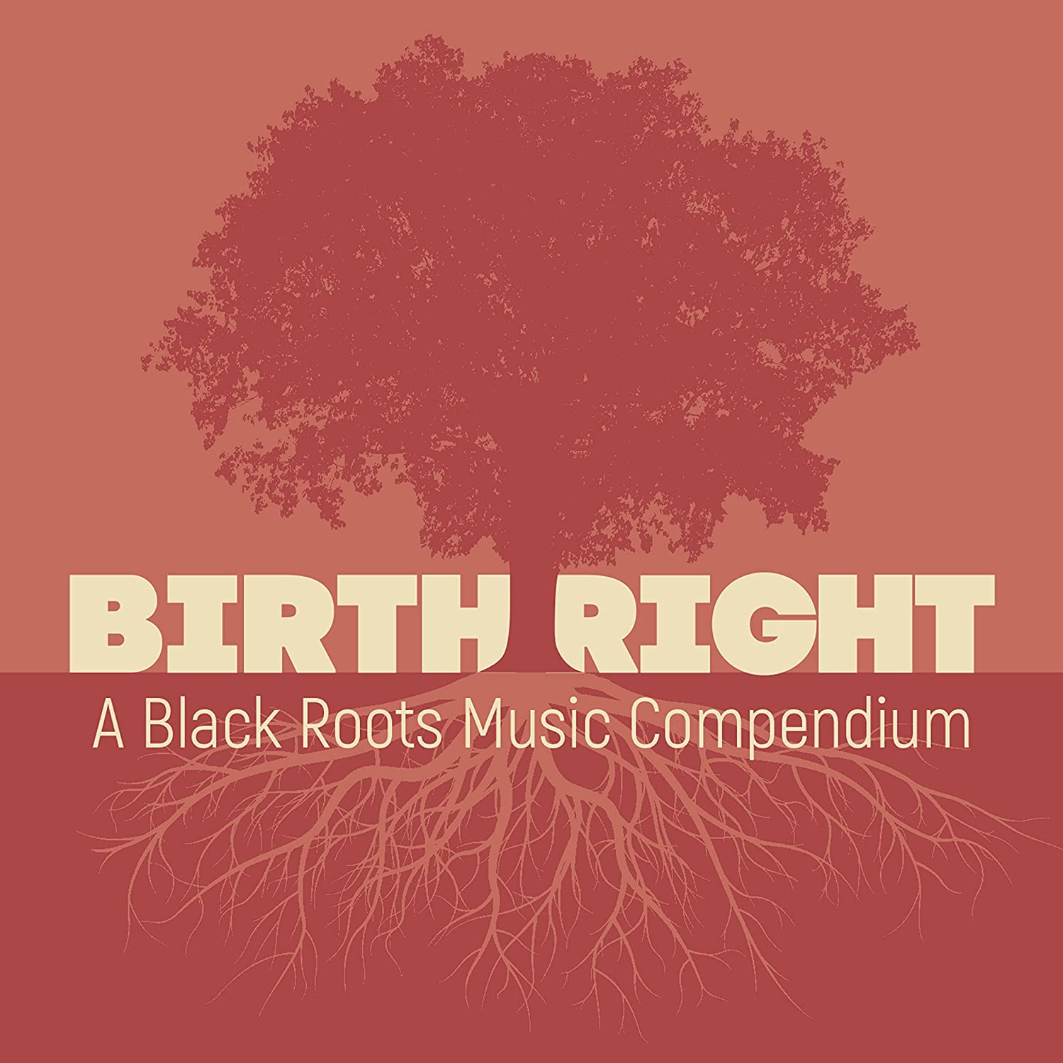Birthright - A Black Roots Music Compendium
