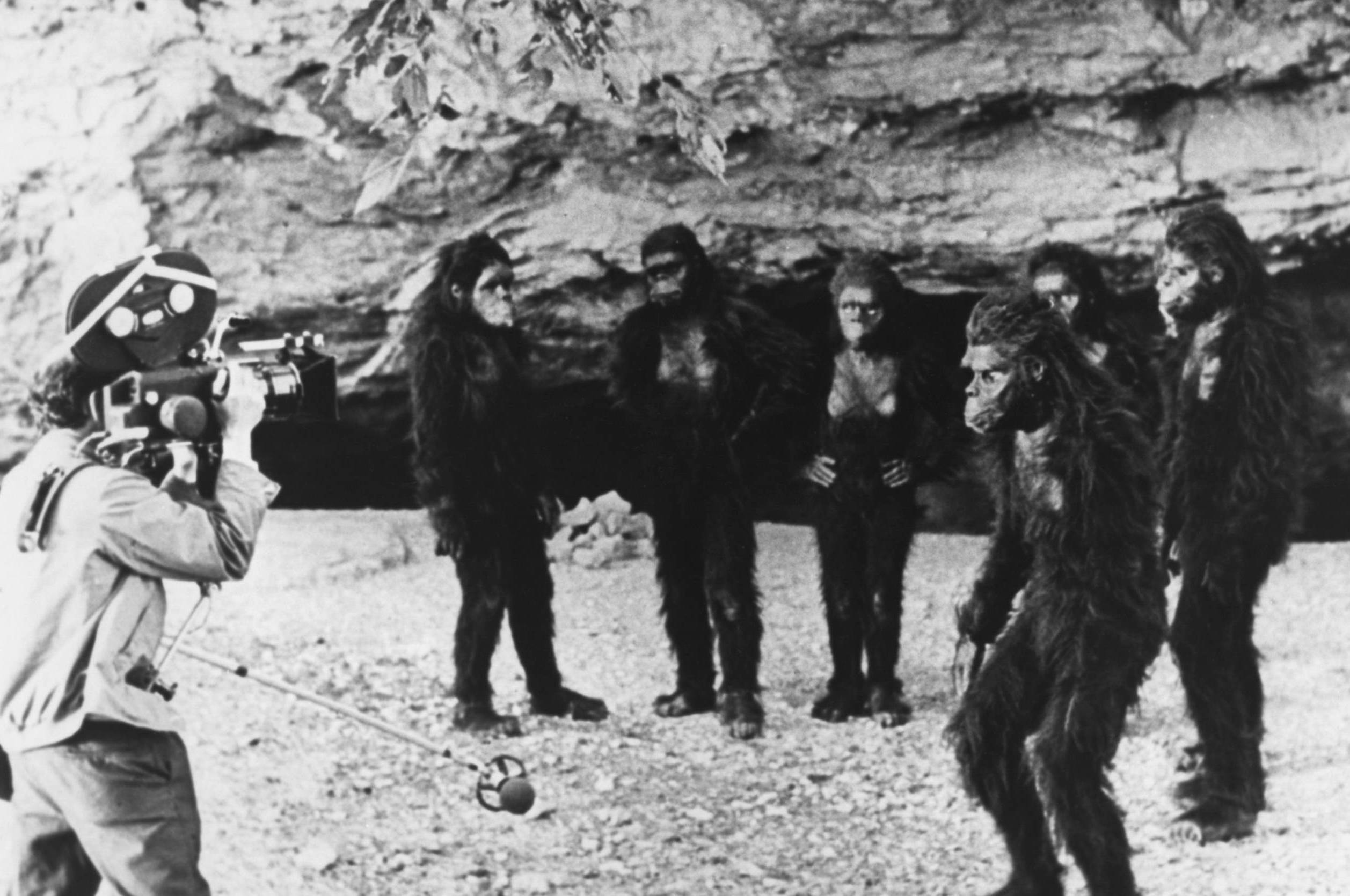 Filming the prehistoric hominid scene for the science fiction film '2001: A Space Odyssey', circa 1968. (Photo by Silver S...