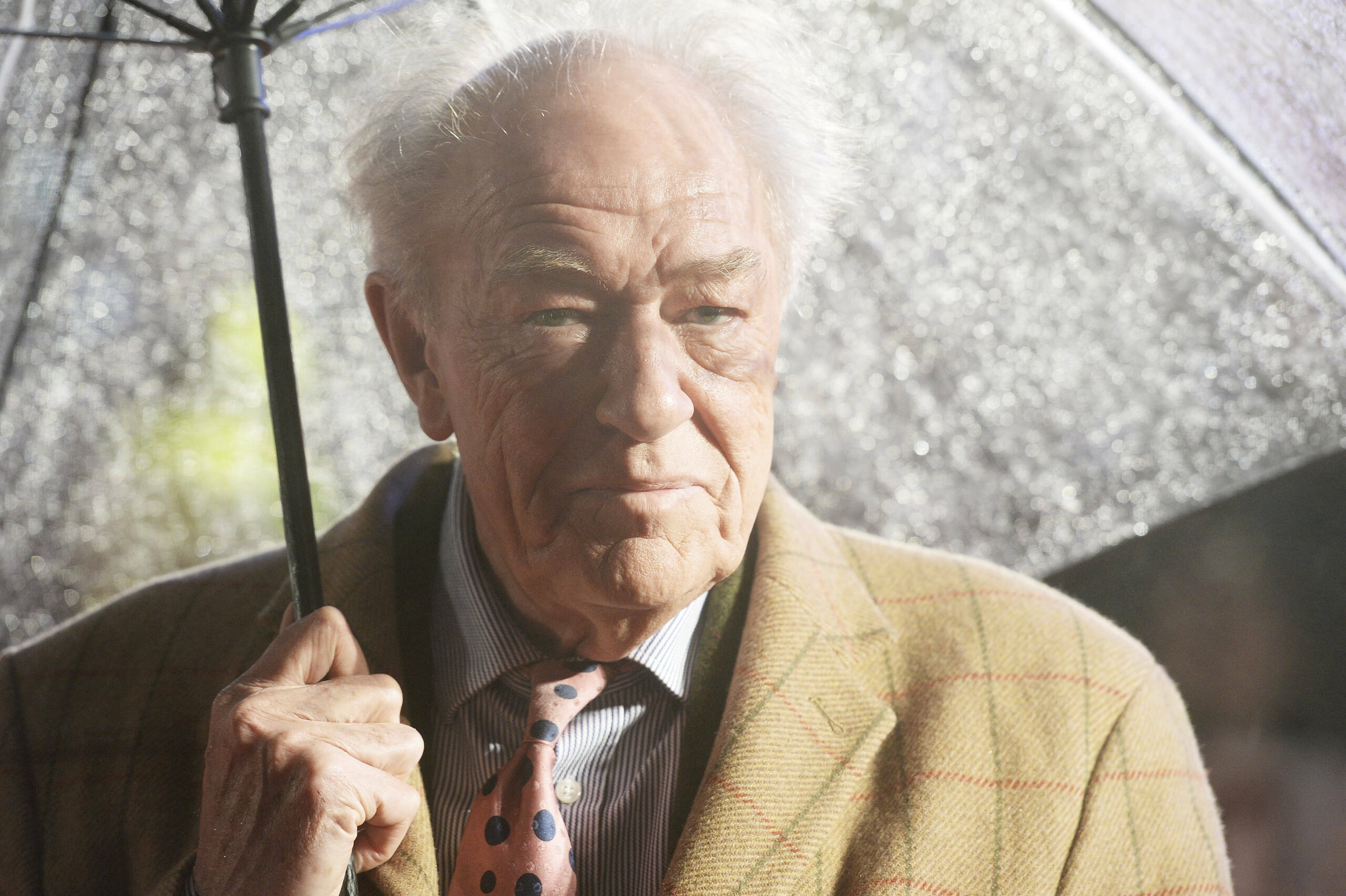 Michael Gambon