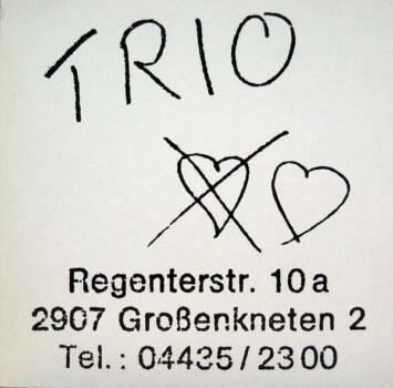 286
Trio
Trio
Mercury, 1981

Karge Gitarrenriffs, simpelste Rhythmen, auf Phrasen reduzierte Texte, vorgetragen in einem S...