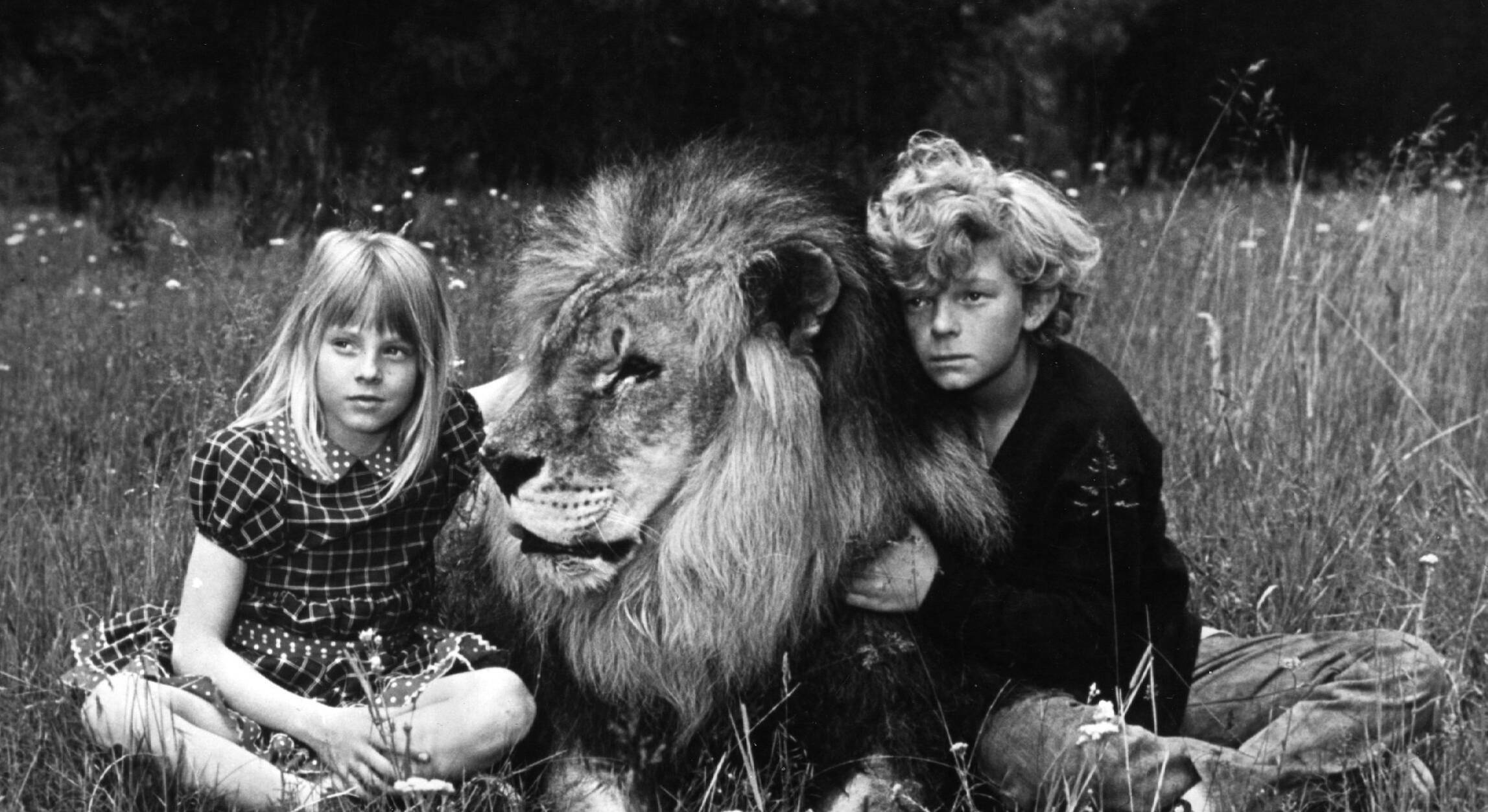 Kino. Flucht in die Wildnis, (NAPOLEON AND SAMANTHA) USA, 1972, Regie: Bernard McEveety, JODIE FOSTER, JOHNNY WHITAKER, St...