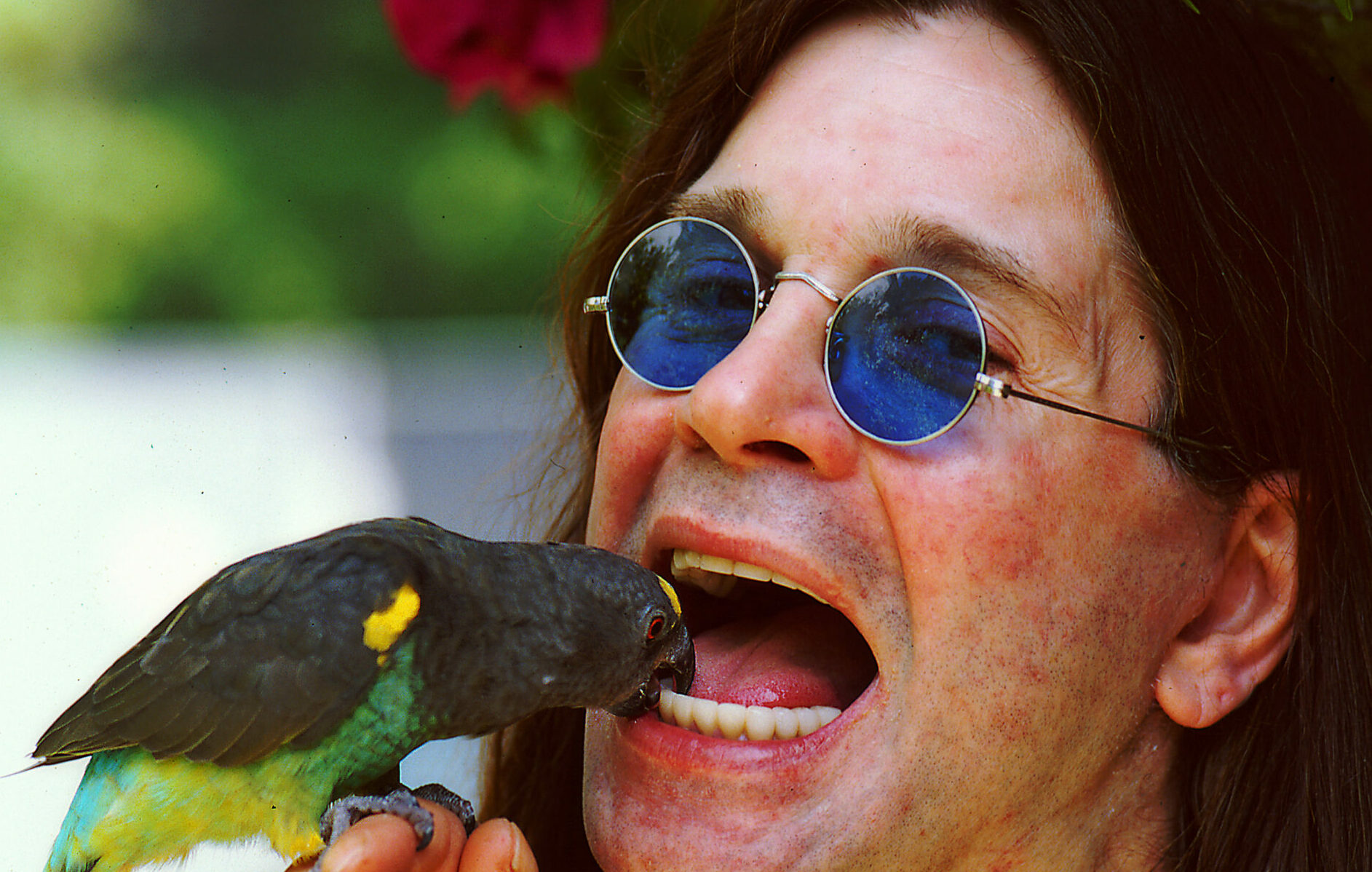 Tierlieb und vogelfreundlich: Ozzy Osbourne