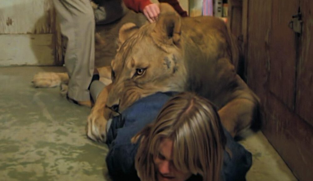 Szene aus "Roar" von 1981