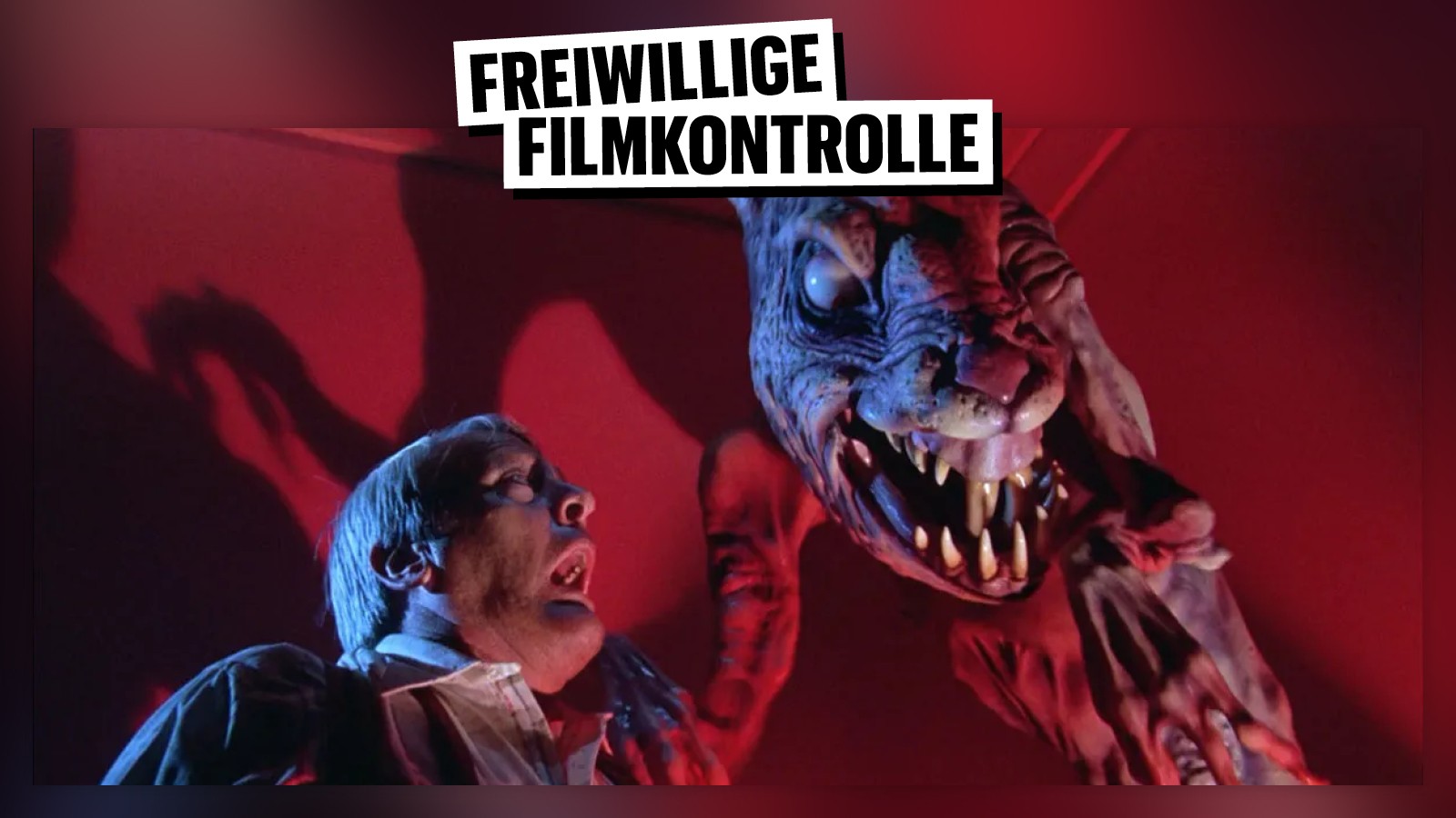 thumbnail_cover-podcast-210-beitragsbild