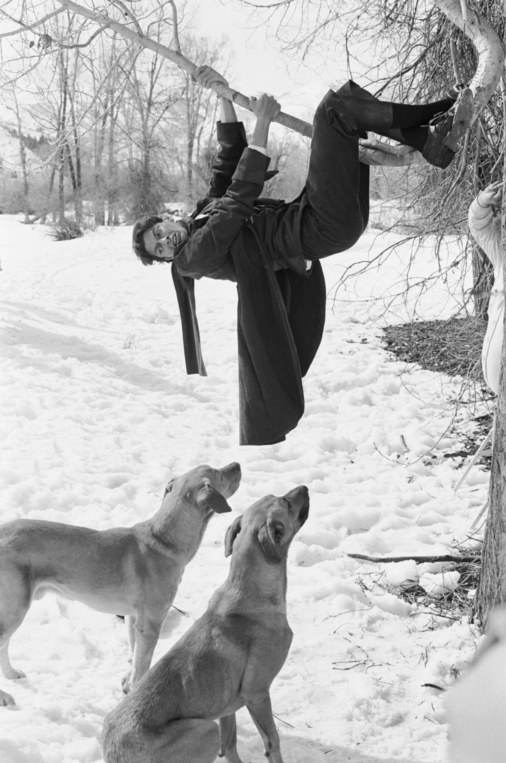 THE LEGEND OF SLEEPY HOLLOW -- Aired 10/31/80 -- Pictured: Jeff Goldblum as Ichabod Crane -- Photo by: NBCU Photo Bank