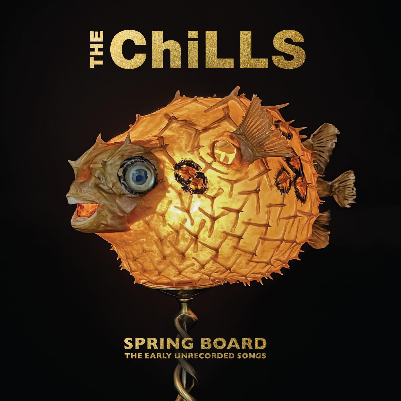 The Chills - Spring Board - The Early Unrecorded Songs