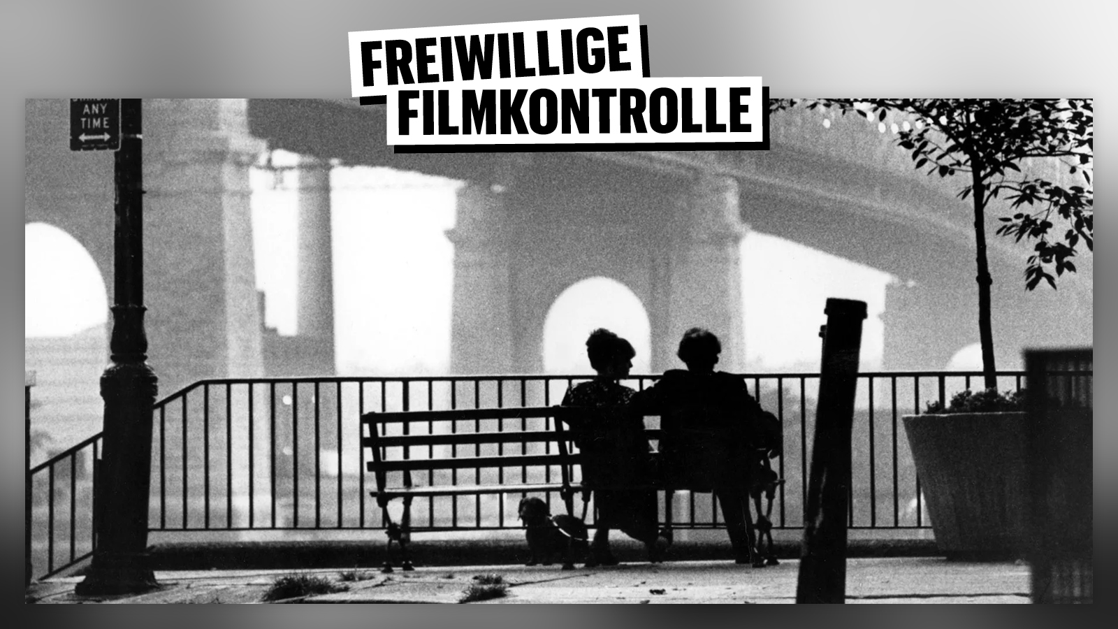 cover-podcast-254-beitragsbild