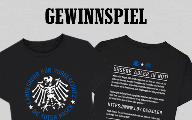 Rolling Stone Beach Banner