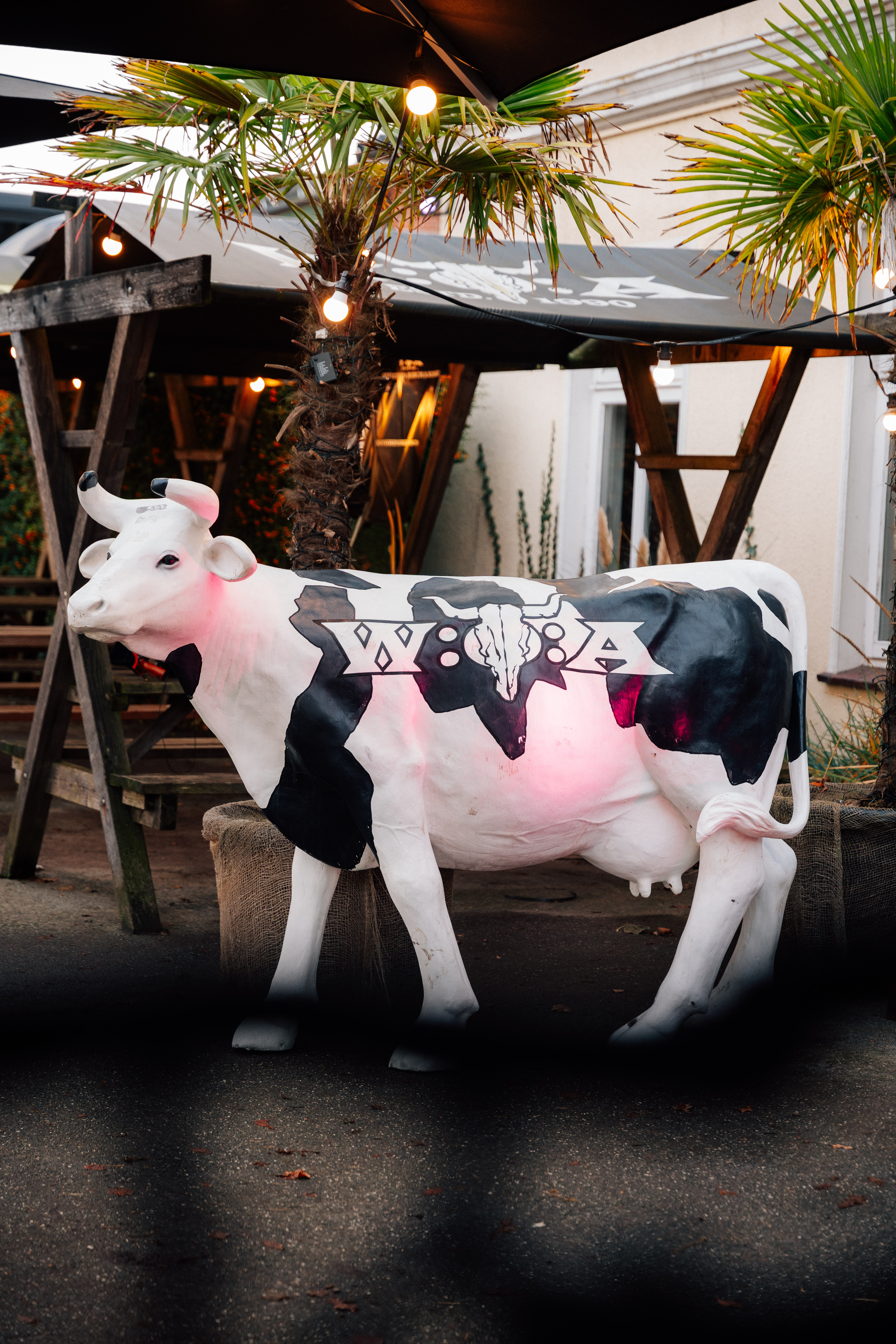 @heinerscheiding-6107