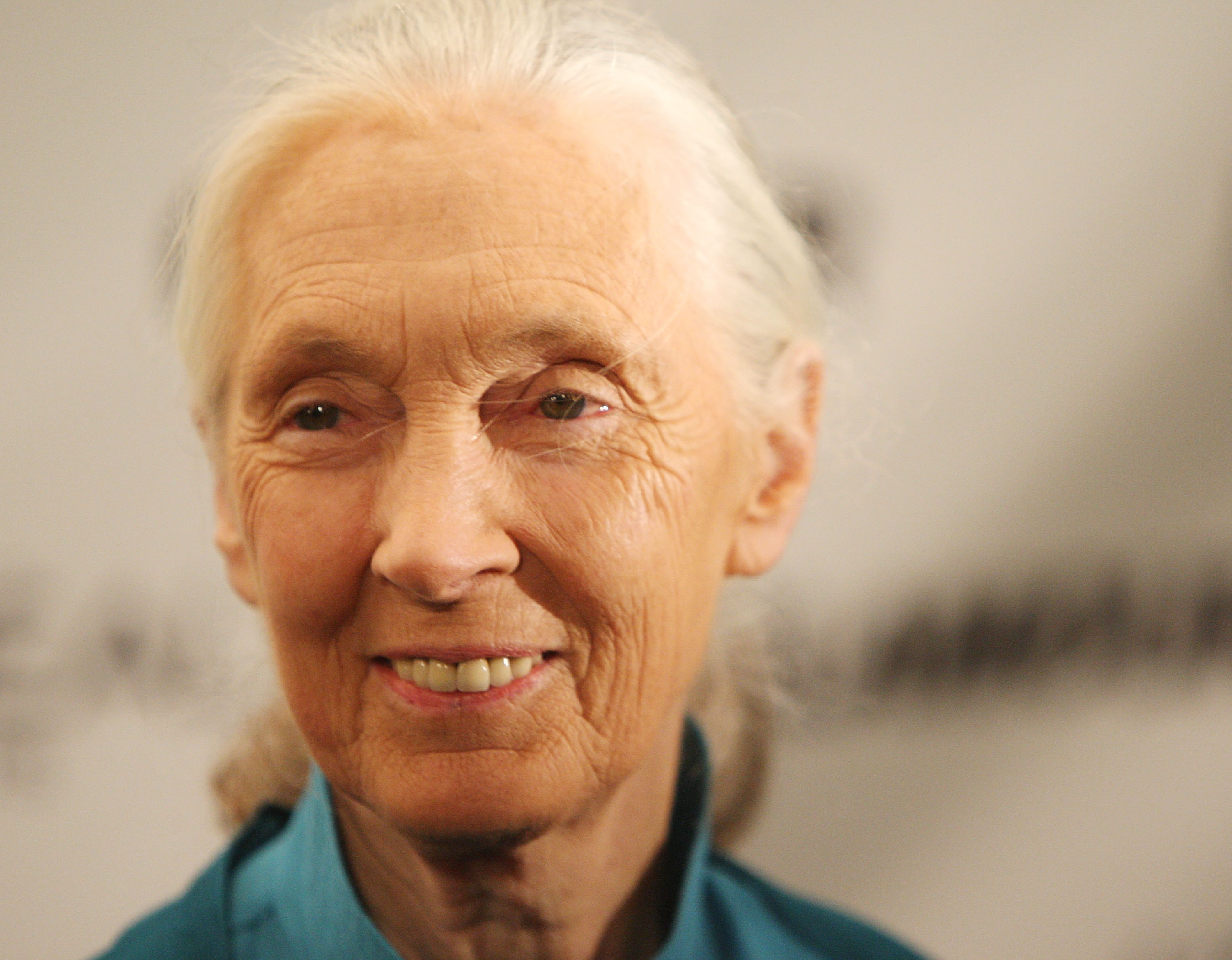 NEW YORK - NOVEMBER 10:  Primatologist Jane Goodall attends the 2008 Glamour Women of the Year Awards at Carnegie Hall on ...