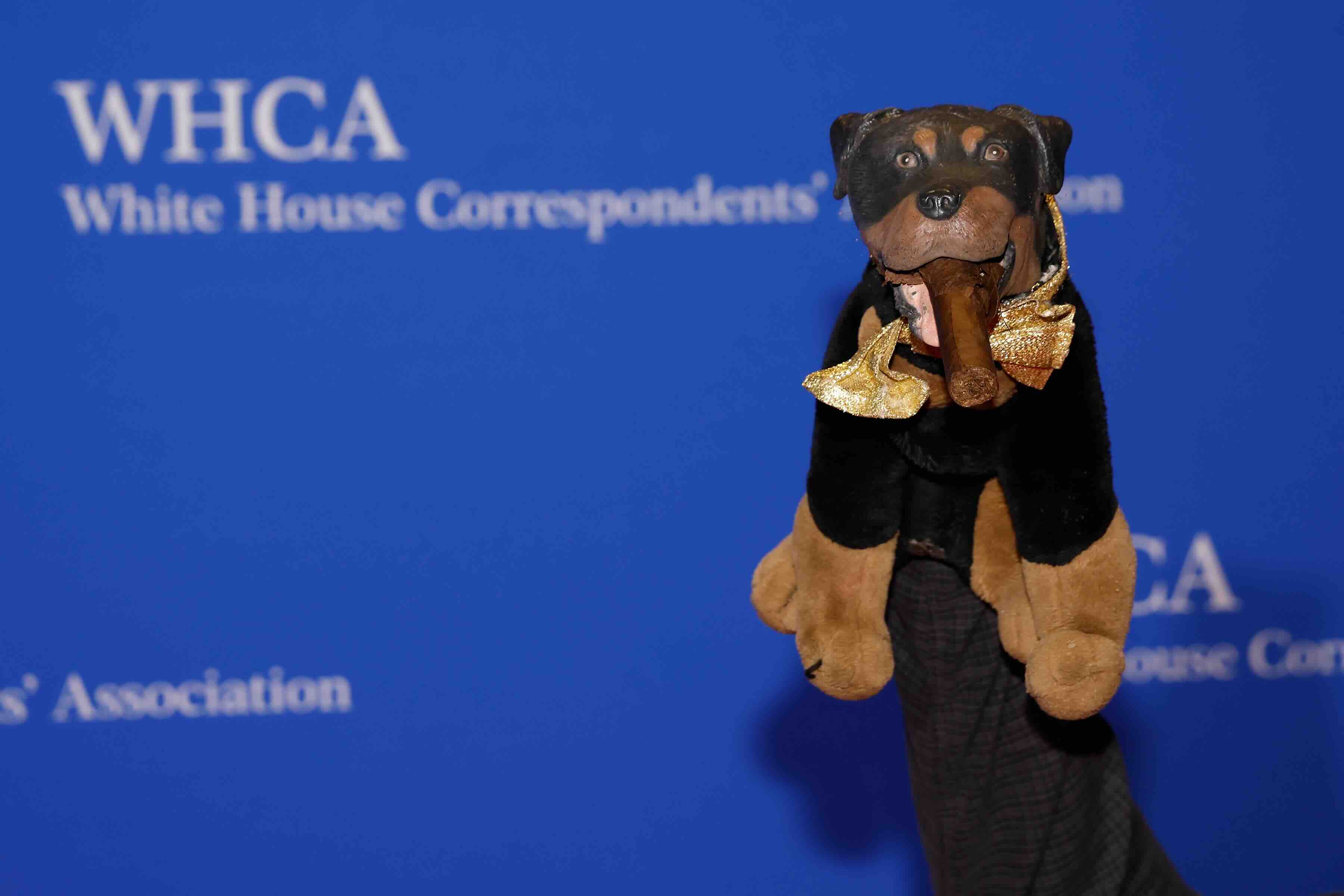 WASHINGTON, DC - APRIL 25: Triumph the Insult Comic Dog attends the 2026 White House Correspondents' Association Dinner at...