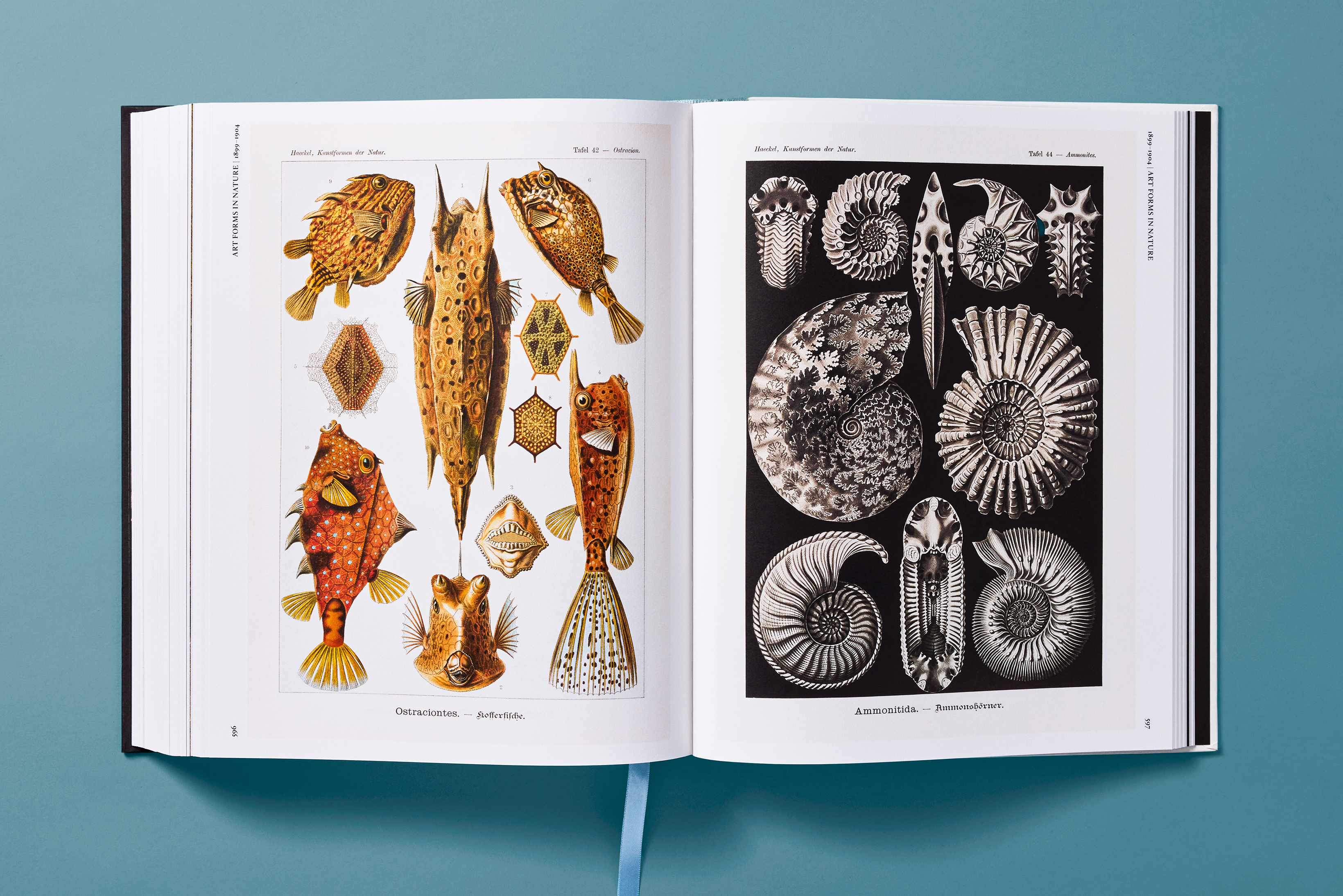 HAECKEL_CL_INT_OPEN001-596-597-X_49600_v2