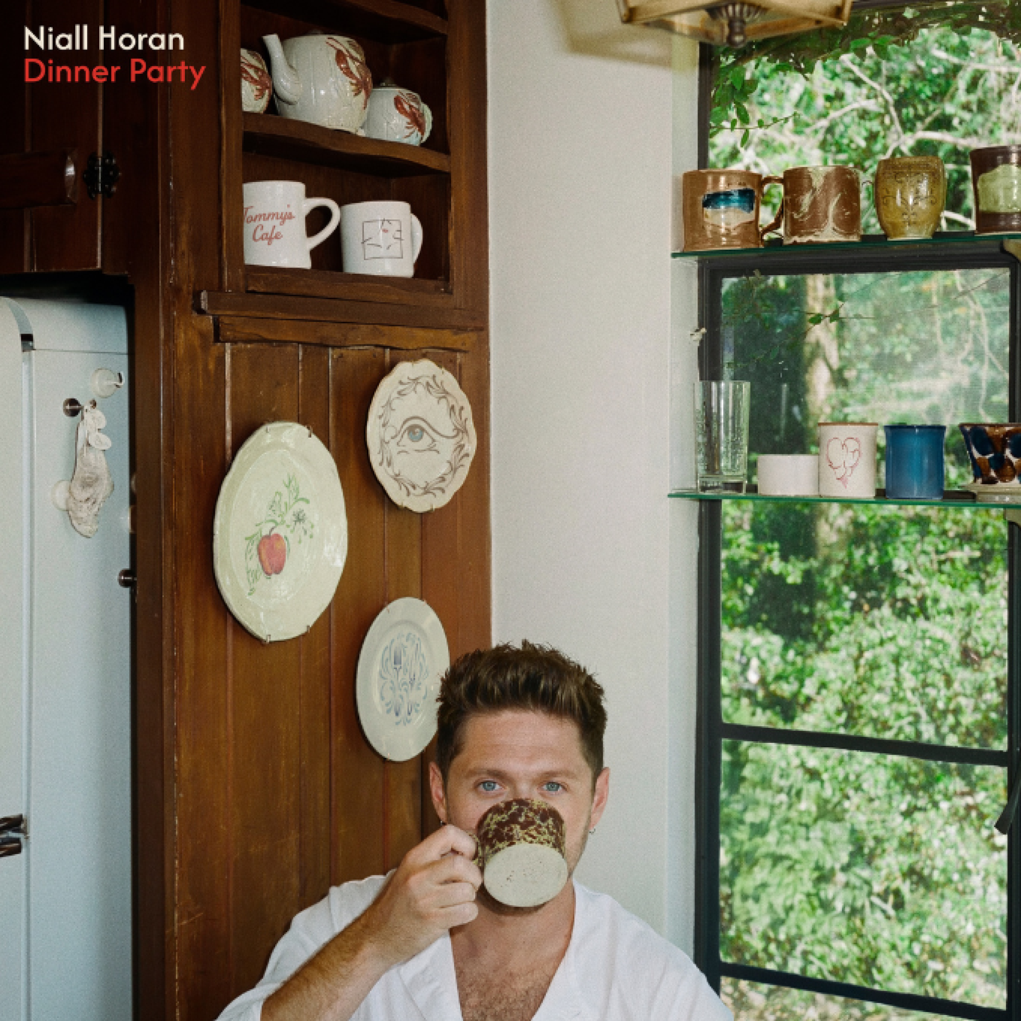 niall-horan