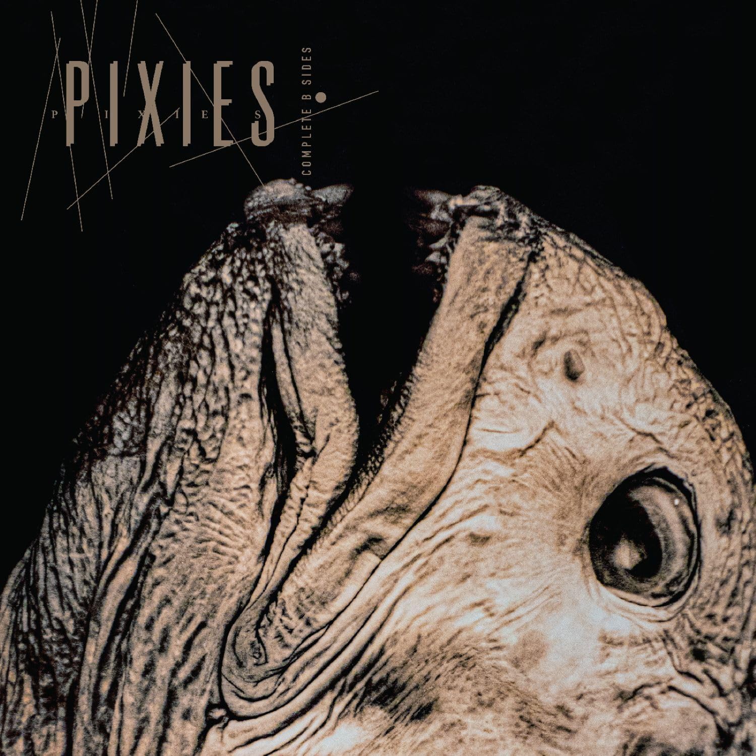 81Zeza6TPQL._SL1500_